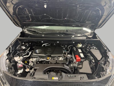 2019 Toyota RAV4 LE AWD