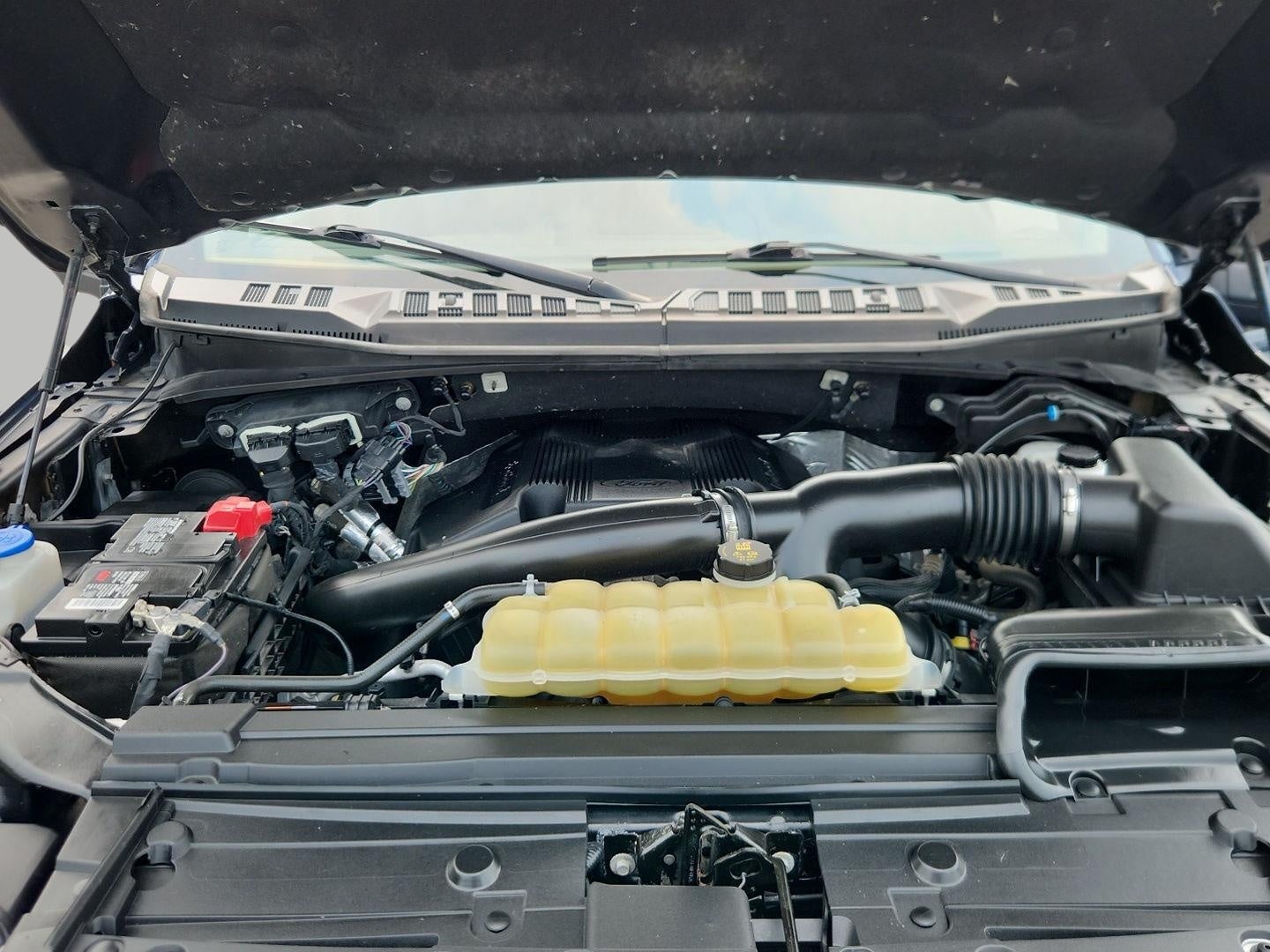 2019 Ford F-150 XL 4WD SuperCrew 5.5' Box