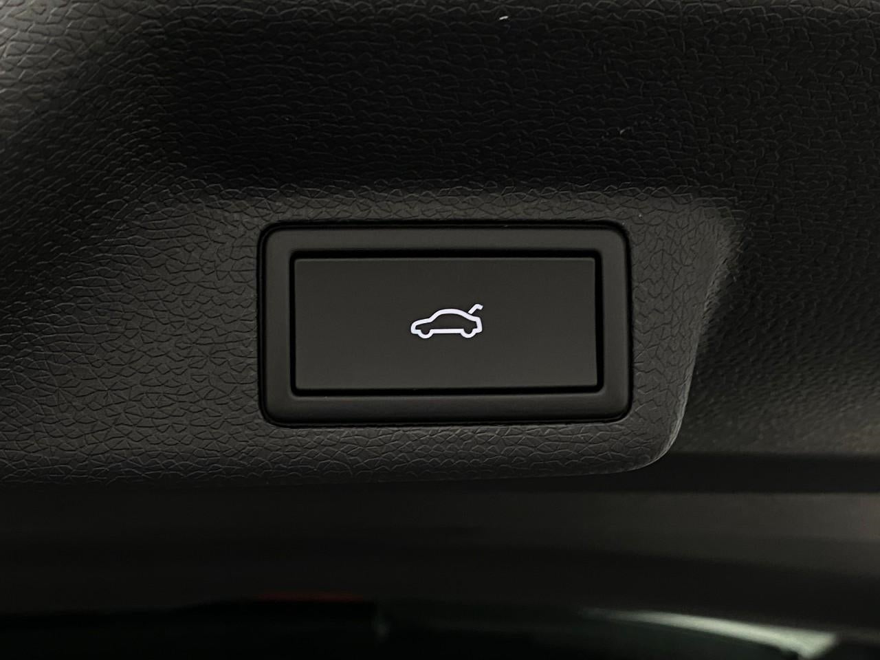 2025 Volkswagen ID. Buzz Pro S Plus 4MOTION w/Two-Tone