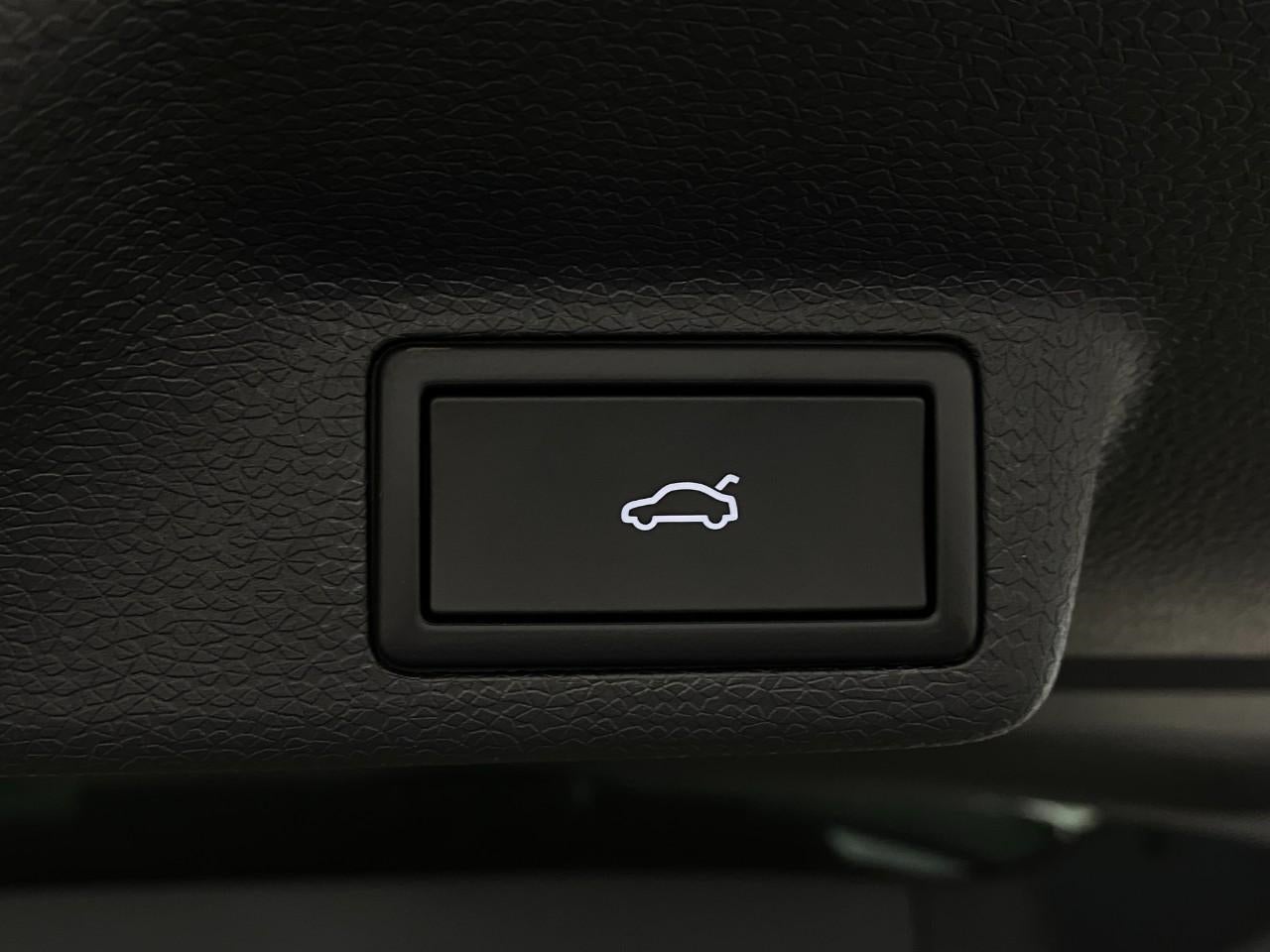 2025 Volkswagen ID. Buzz Pro S Plus 4MOTION w/Two-Tone