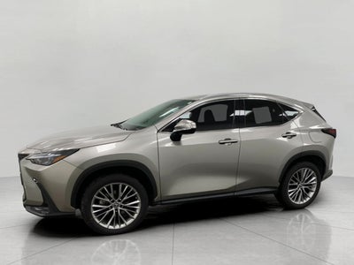 2022 Lexus NX NX 350h Premium AWD