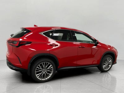 2025 Lexus NX NX 350h Luxury AWD