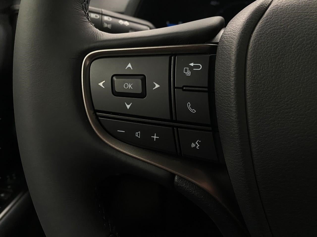 2025 Lexus UX UX 300h Premium AWD