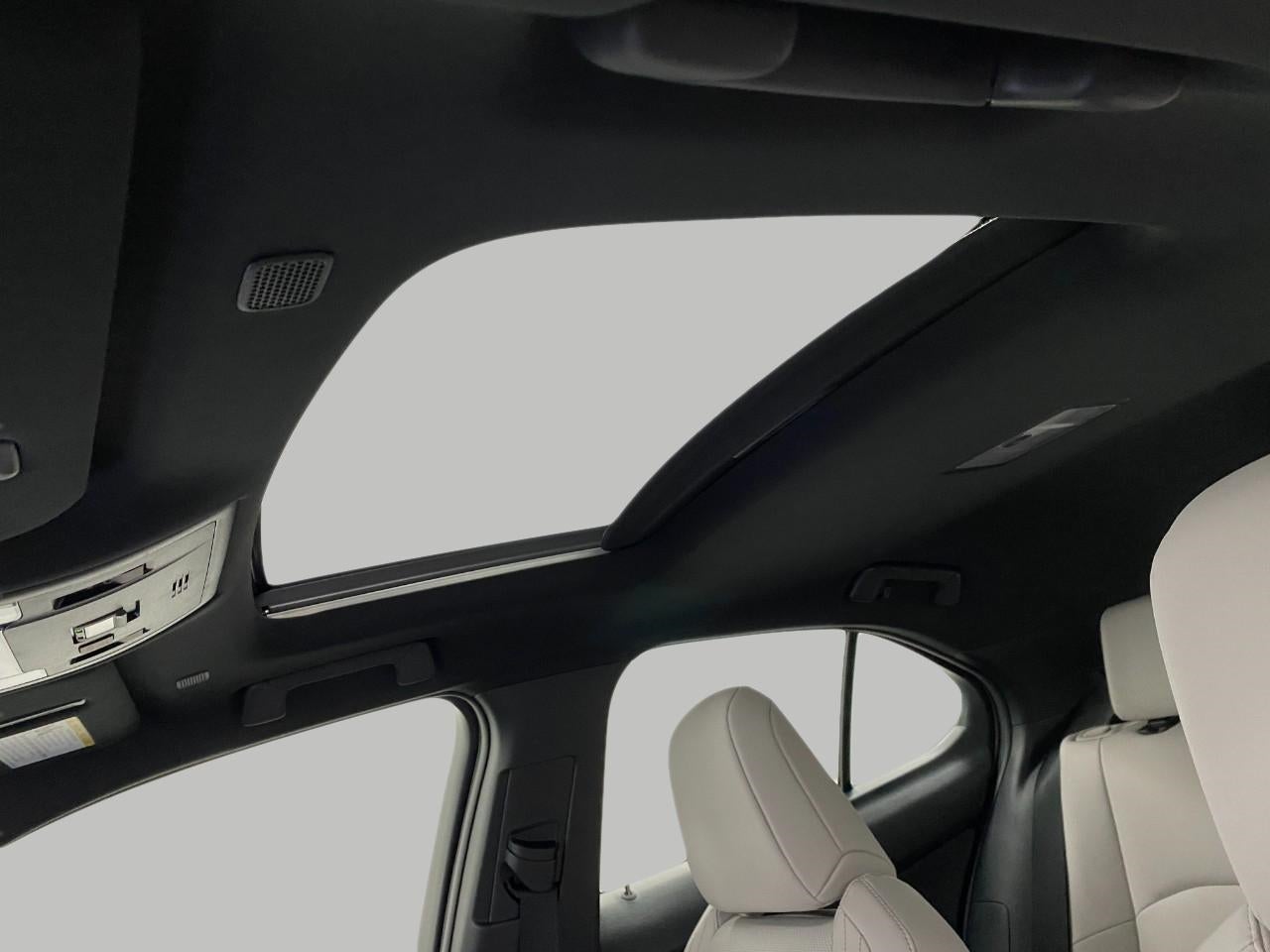 2025 Lexus UX UX 300h Premium AWD