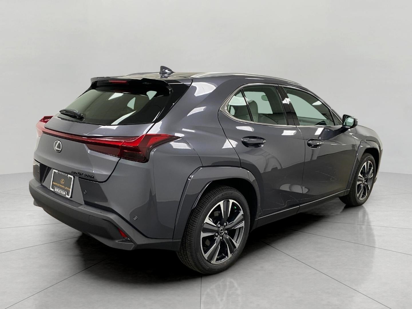 2025 Lexus UX UX 300h Premium AWD
