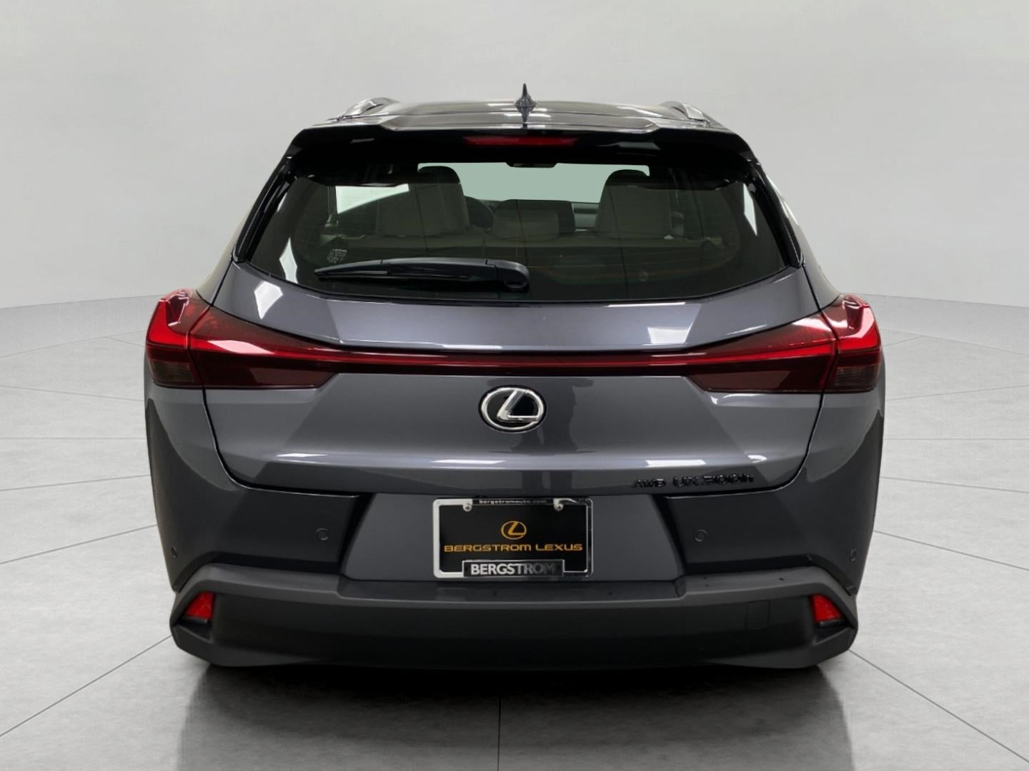 2025 Lexus UX UX 300h Premium AWD