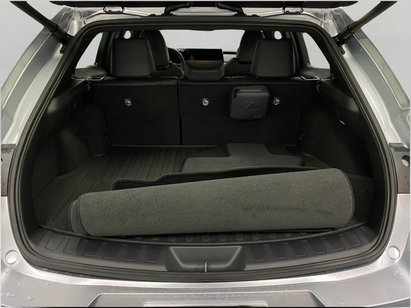 2025 Lexus UX UX 300h Premium AWD