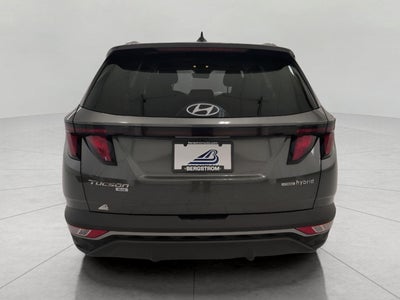 2024 Hyundai Tucson Hybrid Blue AWD
