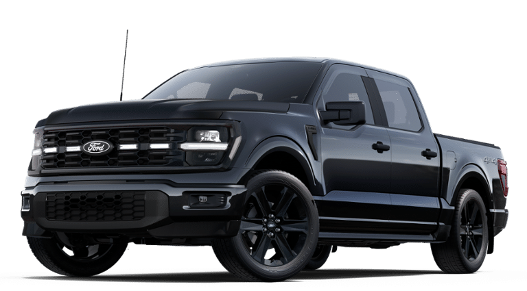 2025 Ford F-150 STX 4WD SuperCrew 5.5' Box