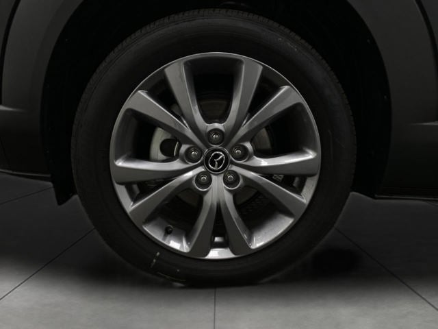 2025 Mazda Mazda CX-30 2.5 S Premium AWD