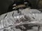 2025 GMC Sierra 1500 4WD Crew Cab 147 AT4