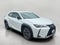 2021 Lexus UX UX 250h AWD