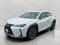 2021 Lexus UX UX 250h AWD