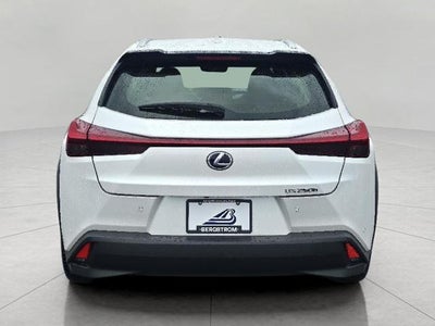 2021 Lexus UX UX 250h AWD