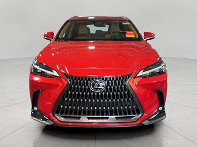 2025 Lexus NX NX 350 Premium AWD
