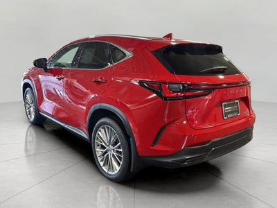 2025 Lexus NX NX 350 Premium AWD