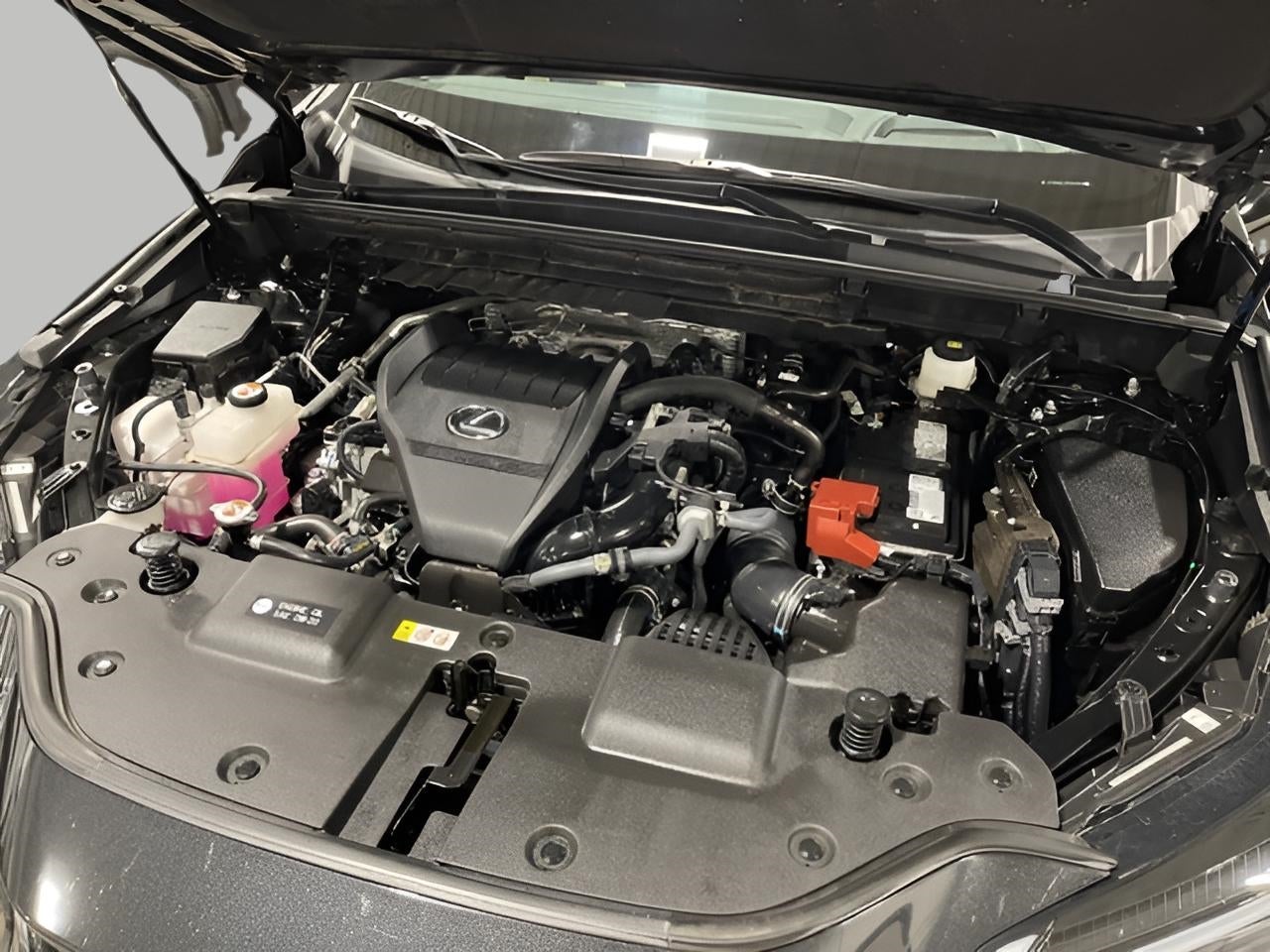 2024 Lexus NX NX 350 Luxury AWD