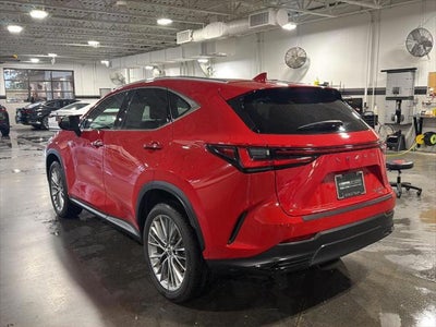 2023 Lexus NX NX 350h Luxury AWD