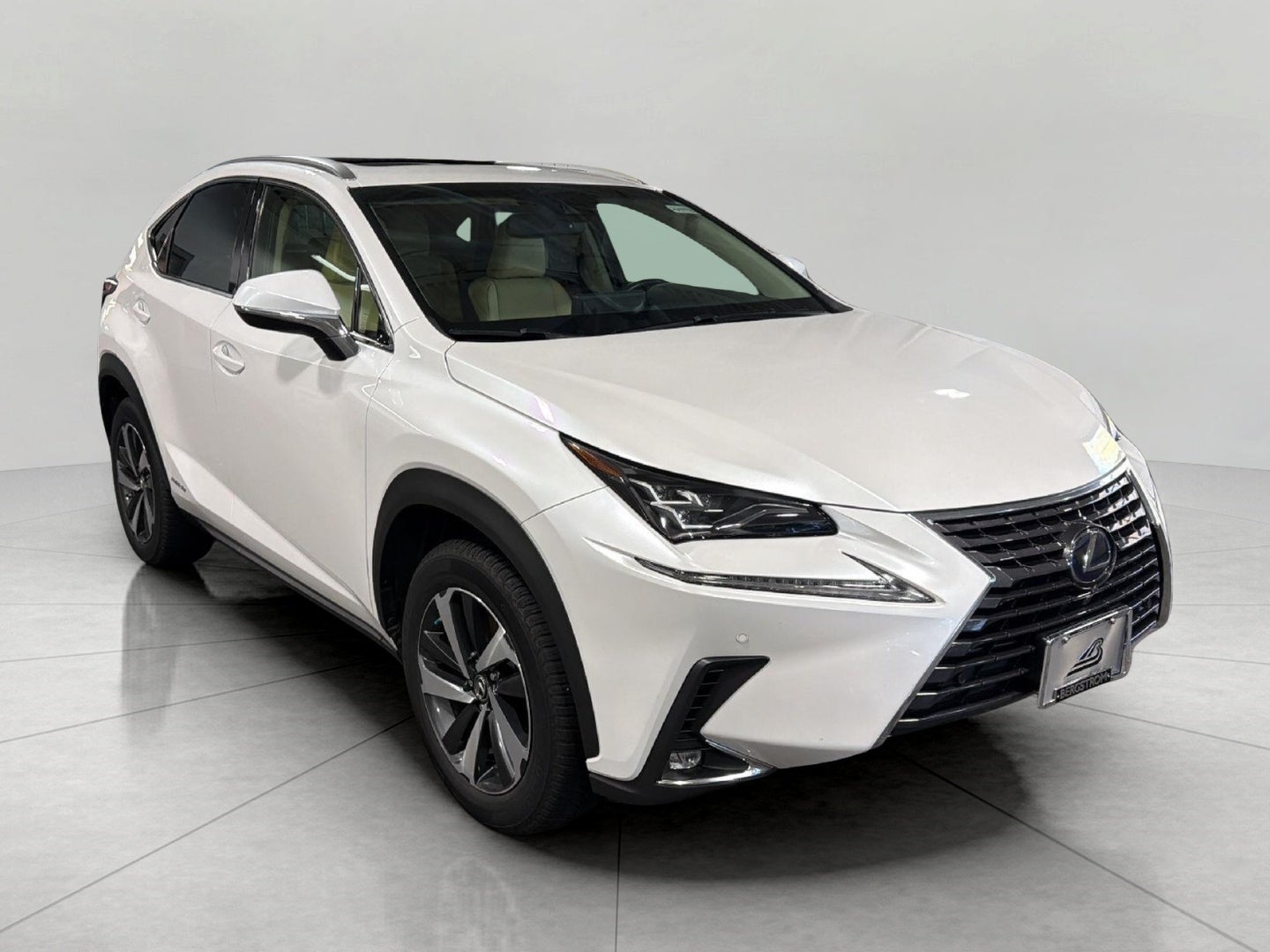 2019 Lexus NX Hybrid 300h