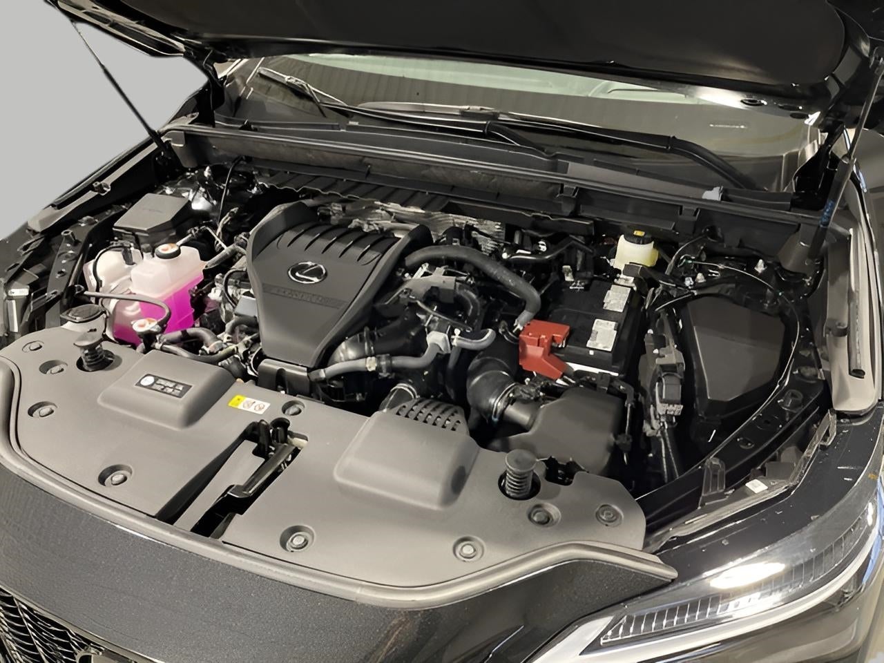 2026 Lexus NX 350 F SPORT HANDLING AWD