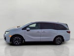 2026 Honda Odyssey EX-L Auto