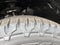 2026 Nissan Rogue 2026.5 AWD Rock Creek