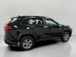2025 Toyota RAV4 XLE AWD