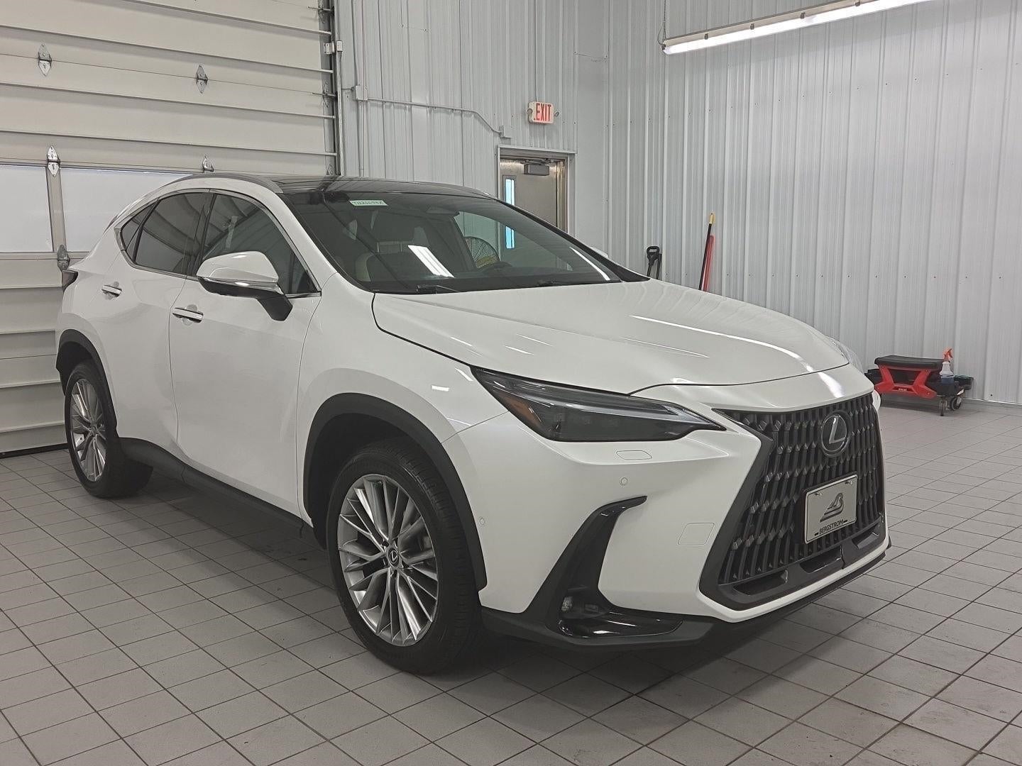 2024 Lexus NX Hybrid 350h